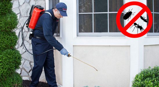 Toroslar Tahtakurusu İlaçlama böcek ilaçlama ve haşere kontrolü — ilaclama-tr.com